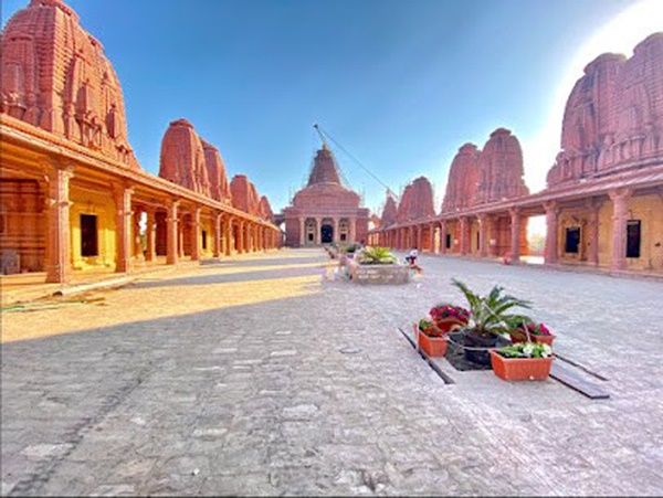 naidunia_image
